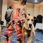 Bai Ling Instagram - Me and my baby ready to conquer the world are you ready for us? Will I see you in the #chillertheatre for the #comiccon tomorrow Sunday? From 10am to 4pm. Click the link in my bio to #shop in my #bailinghollywoodshop you can find what I am wearing there in the shop @bailinghollywoodpopularshop @quarantineromancee So much fun with the beautiful little baby #dog but he is a kind lovely well trained #doggy he is in fact huge, if he would standup will be taller than me for sure. But he is here to protect us so cool. Thank everyone coming to see me in #chillertheatre for the #comiccon , can’t believe how many people showed up wow crazy crowds so much #fin talking and hanging out with all of you. Tomorrow looking forward meeting you again. Cookie: We are all here because we love #moves , let’s continue our journey together to inspire our souls to find different ways to help support and encourage all of us to want to continue make more beautiful #magnificent entertaining #classic #movies . Because movie change our lives and bring all of us together like a magic . Love from #nyc #nj 💋💖👍🎞️🌹💃😘🔥 #bailing #hollywood #fashion #glamour #healthylifestyle #healthyeating #healthymind #healthybody #白靈電影 #白靈時尚 #bailingmovie #bailingfashion #bailingbeautysecret #白靈的小蠻腰 #白靈品牌 #bailingdesign #白靈設計