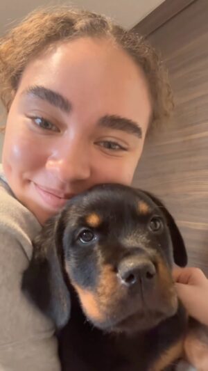 Bailey Bass Instagram - Meet Sasha!!!🌸
We’re officially a 3 dog family. After getting Chase (our 80lb Blue Nose XL Bully) we fell in love with big dogs. Now we have a Rottweiler!!!! 🤍🤍🤍
#rottweiler #puppy