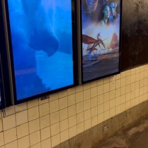 Bailey Bass Instagram - A literal dream come true. Growing up taking the subway to modeling jobs w/ Babulya, I dreamed of one day being on one of the various movie ads plastered on the walls of each stop. To me, taking the train was…and still is so magical. 
This moment is so special to me. Seeing the Avatar TWOW poster never gets old. 
Although some of the standard posters have been replaced by digital screens, this moment is still so so special.
This also happens to be perfect timing because Avatar The Way of Water can now be streamed on Disney  !!!! 💙🐚🌱🤍
#tsireya #avatarthewayofwater