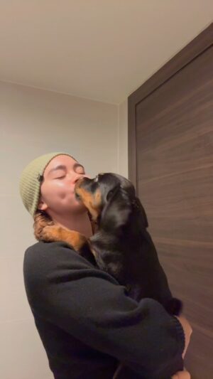 Bailey Bass Instagram - Baby girl Sasha🌸🤍
#rottweiler