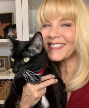 Barbara Niven Instagram - Happy #InternationalCatDay from Henry & I! 🐱 🐾 #adoptdontshop #catday