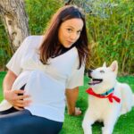 Barbara Lune Instagram - 7 mois ma Peach aujourd’hui ! Ses yeux de l’amour la 😍 ... C’était deux minutes avant qu’elle me morde, je crois qu’elle veut me voler mon fils 🤣 #36sa #34weekspregnant #husky #huskysiberian #momtobe #puppyhusky #peach #souslesoleilexactement