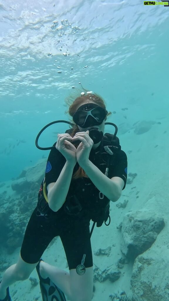 Barbara Meier Instagram - Unter der Meeresoberfläche ist eine so magische Welt 💙 Ich liebe die Ruhe, die man hier findet und vor allem die vielen kleinen Wunder, die man hier entdecken kann. #diving #sharks #underwater #tauchen #magical