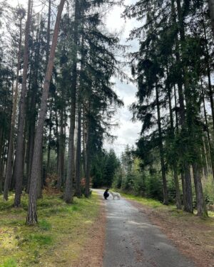 Barbora Černá Instagram - Poslední dva měsíce v kostce 🌞

Březen byl taková horská dráha. Na jednu stranu tak hezký, plný slunce, oceánu, dnů strávených s mýma nejoblíbenějšíma lidma. Pracovali jsme na @vlneni_vlneni , našem prvním campu! Byli jsme s Albertem na nejprestižnějších surfařských závodech v Peniche (pro surfaře: viděli jsme John Johna!!). Začal mi jógový kurz “Language of the body”, který se na jógu dívá zase z jiného úhlu pohledu a v mnohém mi otevřel oči. Ale většina měsíce byla i hodně “stormy”, a to myslím jak počasí, tak moje vnitřní rozpoložení. Venku silný vítr, obří vlny a déšť. Uvnitř chaos, smutek, strach, úzkosti, samota... Udělal se mi první opar. Tělo se mnou mluví a ukazuje to, co přehlížím. První úraz na skatu, na první jarní den. Že mám natržený vaz v zápěstí jsem se dozvěděla až o týden později, když jsem přijela na Velikonoce do Česka a mamka mě dohnala na rentgen. První sádra v životě, na tři týdny💪🏻

Všechno se děje z nějakého důvodu a i tahle moje patálie s rukou mi ukazuje cestu. “Zasekla” jsem se díky ní v Česku, z pár dnů se vyklubal víc jak měsíc. Zažila jsem spoustu krásných věcí, který nebyly v plánu, ale díky tomu i spoustu uvědomění. Život mi zase ukazuje trochu jiný směr a všechno se zase mění a otáčí vzhůru nohama 🌪️

Velkou část března jsem strávila plánováním toho, co by mělo být v mém životě jinak, co by se mělo změnit. Pořád jsem hledala venku, říkala si “až se tohle změní, až vyřeším tamto...” Jako by můj život byl zapeklitá rovnice, kterou musím za každou cenu vyřešit. Až pak moje učitelka pronesla: “Život není lineární, nemá žádný cíl, žádnou cílovou rovinku - tou je jedině smrt.” Náš smysl života plníme každou vteřinu, každý moment, každičký den. Tím, že jednoduše jsme, že jsme naživu. Co když už teď je to ONO? I když někdy dost zapeklité, nevyřešené, komplikované, bolavé. Už teď mám všechno, co potřebuju, už teď můžu žít naplno. A když se zamotám, tak si připomenu: Všechno už je. Teď. ✨