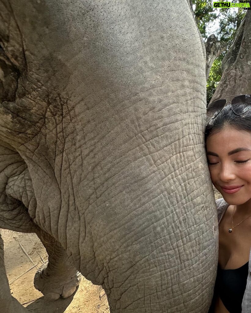 Bé Hà Nguyen Instagram - Narušuju vám stromečkový feed s červenými šaty a prostřenými stoly. Tohle je moje interpretace Vánoc, plná radosti, naplnění a štěstí. ❤️🎄