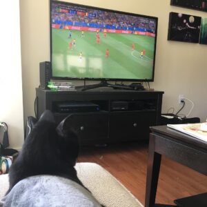 Becky Sauerbrunn Instagram - Olive wants Belgium to win. 
And, yes, she put herself under the blanket. She’s a genius.