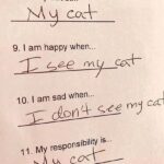 Bely Basarte Instagram - 1. ❤ él 2. 🐻 también 3. 😻 molito 4. 🐱 baby otis 5. factssss