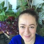 Bennu Yıldırımlar Instagram - Herkese güzel hafta sonları 🍀🍀🍀 Her çiçeğin ilgi ve sevgiye ihtiyacı var. Tıpkı değer verdiğiniz insanlar gibi. 🍀🍀🍀
