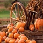 Beth Littleford Instagram - #HappyAutumn See you at the Pumpkin Patch!