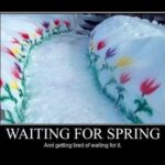 Beth Littleford Instagram - #FirstDayofSpring