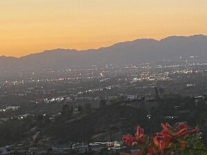 Betsy Brandt Instagram - Beauty all over LA today...