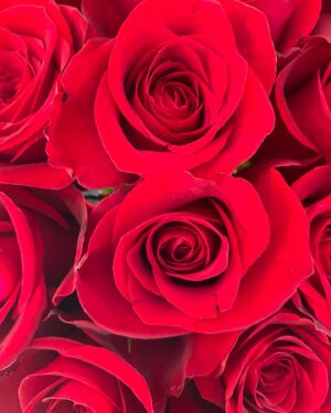 Betsy Brandt Instagram - Happy Valentine’s Day...sending lots of love. ❤️