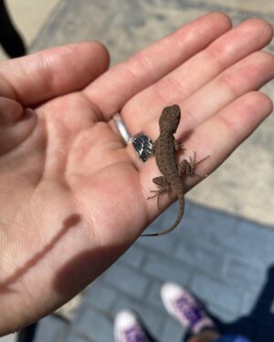 Betsy Brandt Instagram - My daughter made a little friend on our walk this morning...
