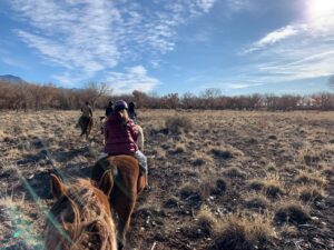 Betsy Brandt Instagram - Some days my heart is in the desert...