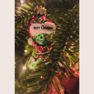 Bettina Zimmermann Instagram - ….bei uns hängt die Weihnachtsgans dieses Jahr im Baum…. Was habt Ihr reingehängt?! Ihr Lieben, ich wünsche Euch wundervolle, friedvolle Weihnachten im Kreise Eurer Liebsten….genießt es, auch wenn es mit der lieben Family manchmal anstrengend sein kann. Denkt immer daran, nicht jedem ist es vergönnt bei seinen Liebsten zu sein….❤️🌲 Merry Christmas ✨#merrychristmas #weihnachten #weihnachtsdeko #muttihatsichaufgehübscht #familytime #love #missyoudad