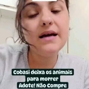 Betty Gofman Instagram - Cobasi não é a primeira loja que faz maus-tratos a animais. Um caso conhecido é do Carrefour, quando um segurança bateu num cachorro que morreu depois de uma ação desastrosa do CCZ da cidade

No caso da Cobasi o crime de maus-tratos tratos foi premeditado, deixaram os animais na loja depois de serem avisados que uma enchente ia acontecer e os animais estavam no subsolo, local que alaga nas enchentes.

Não compre nenhum animal! Adotem! Estará salvando animais de serem usados para comércio e estará salvando um animal abandonado ou vítima de maus tratos #repostandroid #repostw10