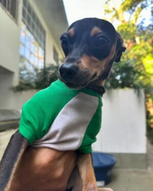 Betty Gofman Instagram - Interessados podem mandar mensagem!!! Juju🧡🧡🧡