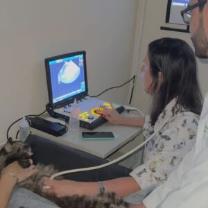 Betty Gofman Instagram - Essa veterinária maravilhosa @adrienefirmo , ultrassonografista incrível, agora é a nova dona da @cannegatto , clínica espetacular 24 horas que fica na Tijuca.  Alem disso tudo, é uma mestra generosa que está formando muita gente bacana como ela. Agradeço a essa minha amiga querida, que não passa um dia sem me ajudar a salvar um bichinho. Te adoro e tenho muita sorte desse nosso encontro na vida.  Gente, a @cannegatto agora, sob essa nova direção, está praticando preços mais acessíveis, mas com a qualidade de sempre. E com muito muito muito amor pelo que faz!!🧡🧡🧡🧡🧡🧡