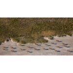 Beverly Joubert Instagram – As if in a coordinated procession, a small herd of oryx charge across the Makgadikgadi salt pans, the afternoon sun stretching their shadows out behind them like trailing wakes on the parched sand. Adapted to life in arid areas, oryx can survive for extended periods without water. In desert regions where a drink is hard to come by, these resilient antelope forage for moisture-rich tubers, thick-leaved plants, and wild melons. ⁣
⁣
#wildlife #Makgadikgadi