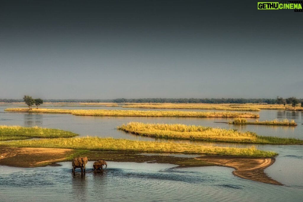 Beverly Joubert Instagram - An elephant and her calf wade across a kilometres-wide stretch of the Zambezi River separating Zimbabwe and Zambia. These giants are heavily water-dependent and have been known to trek vast distances to quench their thirst. As human settlements and farms expand further into elephant territory, clashes are inevitable and this creates complex conservation challenges. Massive mammals need lots of space to roam, and if their habitat is systematically cut off it often leads to conflict. If elephants are not provided suitable corridors in which to traverse their historical rangelands these problems are likely to worsen. A situation that's detrimental to both humans and elephants.⁣ ⁣ #elephants #wildlife #conservation