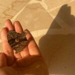 Bhagyashri Borse Instagram - This & that 🦋🦕🩵
