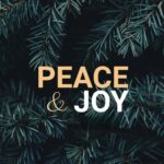 Bonnie Raitt Instagram - At this special time of year, when we gather together with loved ones, in person or virtually — and especially remembering those gone on, I hope we can find a way to celebrate what we have in common, and work to overcome what separates us. That is my wish for us this holiday; That we can celebrate the true meaning of peace and love by treating each other with more understanding and respect. Happy Holidays to you, from our family to all of yours. Bonnie
