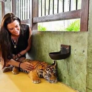 Borisa Tyutyundzhieva Instagram - 🇹🇭 ♥️🤍💙