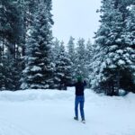 Bree Turner Instagram - Bros in Snow! 🤍🤍🤍🤍