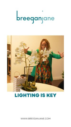 Breegan Jane Instagram - Can you truly say a space is finished if it doesn’t have the proper lighting? I don’t think so! Lighting is crucial for so many reasons. While its primary purpose is functional in nature, I love lighting’s ability to ground a space and almost create zones within rooms. Check out my plans for this rental property design!
.
.
.
🎥: @jondavolio