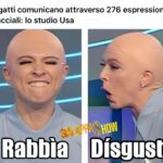 Brenda Lodigiani Instagram - Tra cui….🙀😼 #GialappaShow vi aspetta tutti i lunedì alle 21:30 in prima visione!