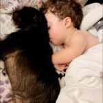 Briana Renee Instagram - Just a dog and her boy 😍 Sweet dreams 😴