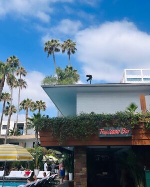 Brianna Murphy Instagram - I miss you already LA.  I will see you soon. ✌️ 

.
.
.
.
.
.
.
#marilynmonroe, #pool #lapride #stpetepride #pridemomth #wlw #lgbt #gaytravel #lgbtqtravelers #hollywoodroosevelt
