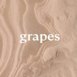 Bridget Maasland Instagram - Met deze topvrouwen maakten we een paar weken geleden de eerste beelden voor GRAPES. Wat een fantastische dag en wat ben ik blij met het resultaat. Het eerste wat GRAPES visueel echt maakte. Creative director Iman Whitfield in samenwerking met topfotograaf Denise Valk en de fantastische Gwendolyn van Waveren in de studio van rawcontenhub en het resultaat is zo mooi geworden. Wat zijn we er blij mee. ⁠ ⁠ Een kleine shout out naar NITRO Amsterdam en MSI agency. Zonder jullie geen GRAPES.