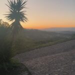 Bridget Maasland Instagram - Recap Women intensive Portugal 🇵🇹 1. D’aligo yoga retreat 2. 2 uur per dag vrije tijd 3. Aan de pool 4. Uitzicht bij mijn huisje 5. Alles van je afspoelen in een heel koud beekje 6. Kookworkshop van de allerliefste @mikelhengeveld 7. Zonsopgang voor de yoga 8. Collage van mijn leven op dit moment 9. Na een intense dag vol familie-opstellingen 0. Zonsopgang op het hoogste punt