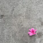 Bridget Moynahan Instagram – Sidewalk find. #nyc