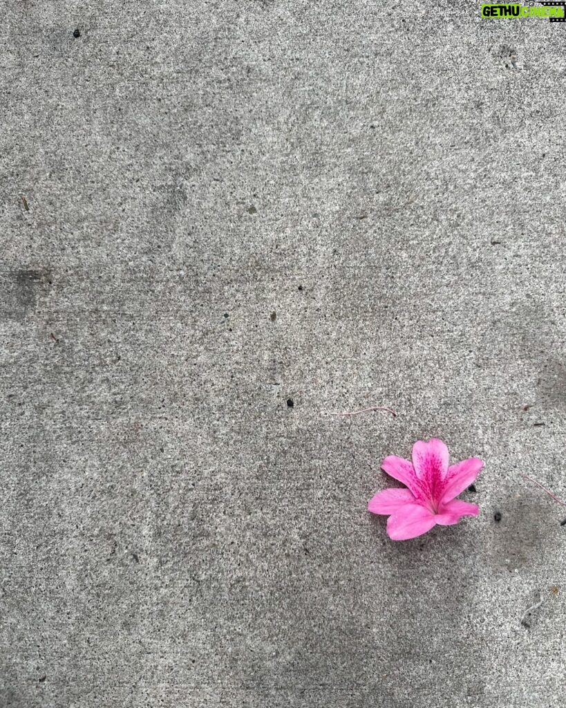 Bridget Moynahan Instagram - Sidewalk find. #nyc