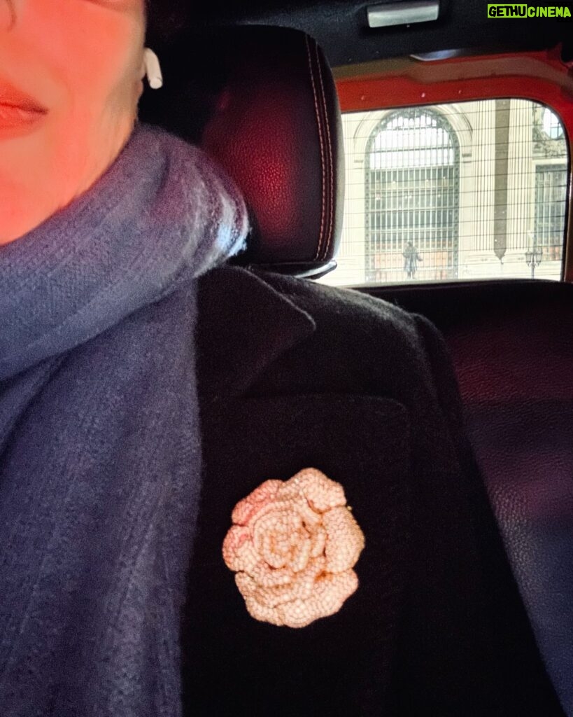 Bridget Moynahan Instagram - Me and my brooch just minding our NYC selves after a yummy dinner with my #gotogirl #citylife #oldfriends #maketime #checkin