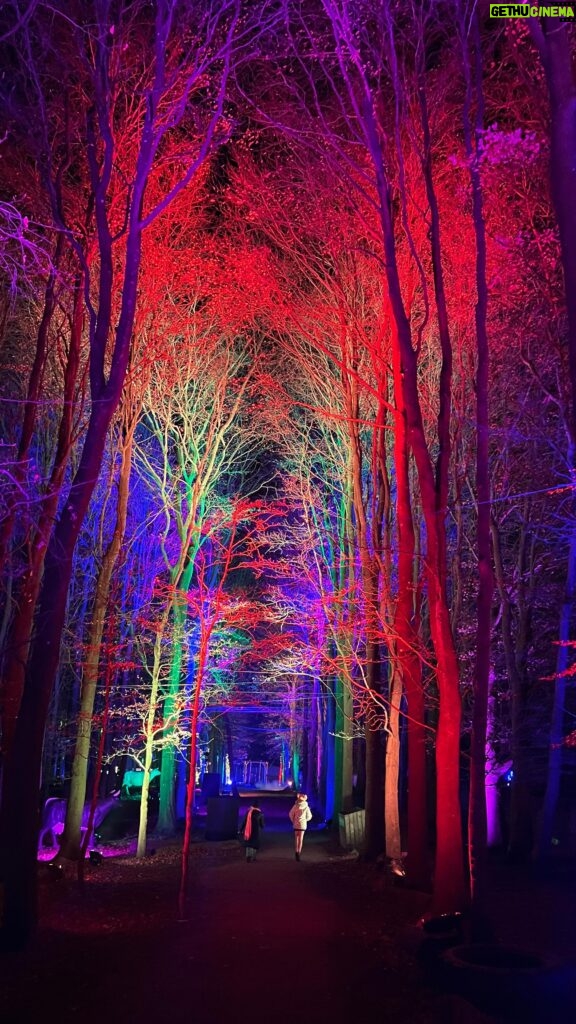 Briony May Williams Instagram - We had the most magical, lovely time at @cotswoldfarmpark yesterday meeting Santa and walking their Enchanted Light Trail ❤️ I’m feeling fully festive (I know it’s still November but I’m not even sorry 🤣). Thank you for inviting us, it was pure joy😊 #gifted #pr #invited