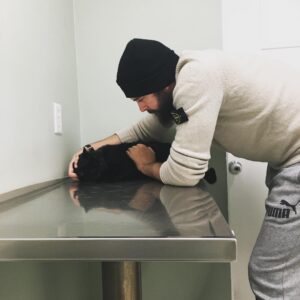 Brooke Leigh Thorne Instagram - We took Sherlock in today. Poor boy has been sick since we got home. On the plus side, they’ve checked and the rest of his teeth need to come out so a pain-free future is coming for our sweet boy 🖤