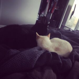 Brooke Leigh Thorne Instagram - Good morning!