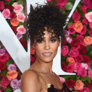 Brooklyn Sudano Instagram - Tony Tony Tony 🏆 @donnasummerbway @thetonyawards #summerthemusical