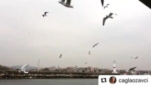 Çağla Özavcı Instagram - 🙇🏼‍♀️.