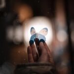 Élodie Routhier Instagram - 📸 @cedricfortin 🦋Le papillon est un symbole de transformation. Par analogie à la vie de cet animal, la signification associée avec le papillon met l'accent sur la capacité de passer d'un état, d'une perspective, ou d'un mode de vie à un autre L’animal totem papillon qui représente la joie, la beauté, la grâce et la légèreté de l’être. Dans le monde spirituel 🦋🤍 #christmas#magic