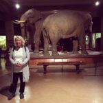 İpek Bilgin Instagram -