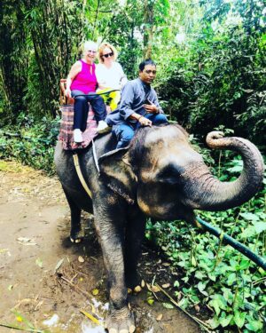 İpek Bilgin Instagram - #bali #ubud