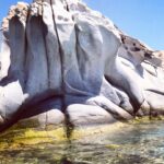 Şebnem Dönmez Instagram - The phrase that popped into my pocket, just before slipped into time: ‘trust what I say and do’ .. well ..what else i can do?