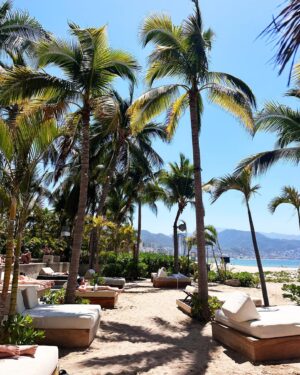 Caitlin Carmichael Instagram - 🌴🤍