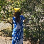 Camila Mateos Instagram - Limonero y otros cuentos 💛