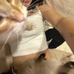 Camila Valero Instagram - los trámites me hacen llorar