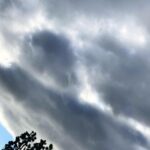 Camilla Belle Instagram – Empanadas, alfajores, paseos, perros, novelas, y nubes…